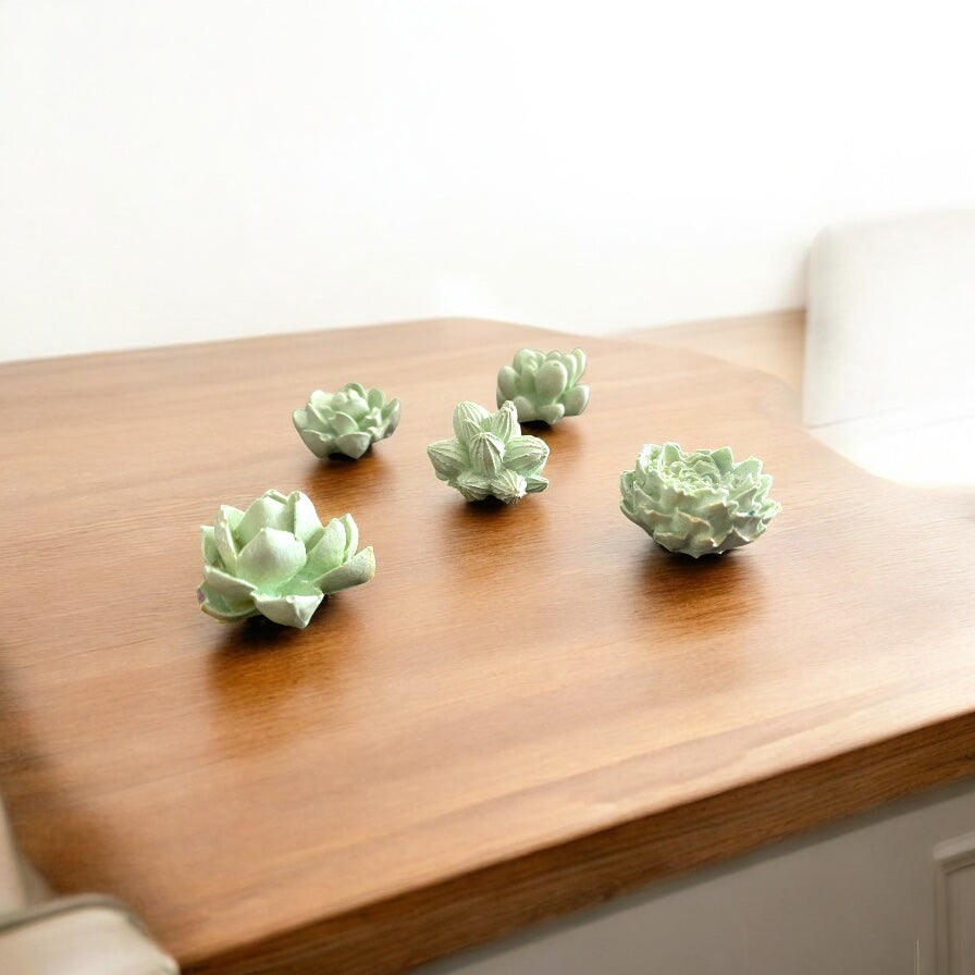 Succulent Snaps - Mini Magnet Set